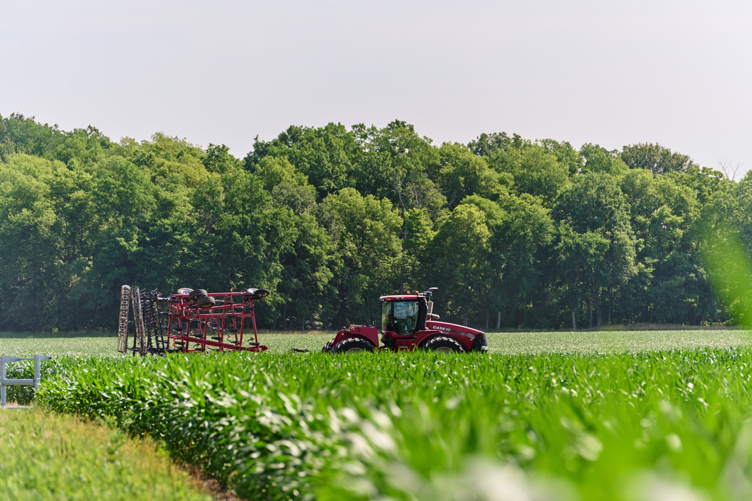 More than a nutrient: Nitrogen fertilizers and sustainable food systems