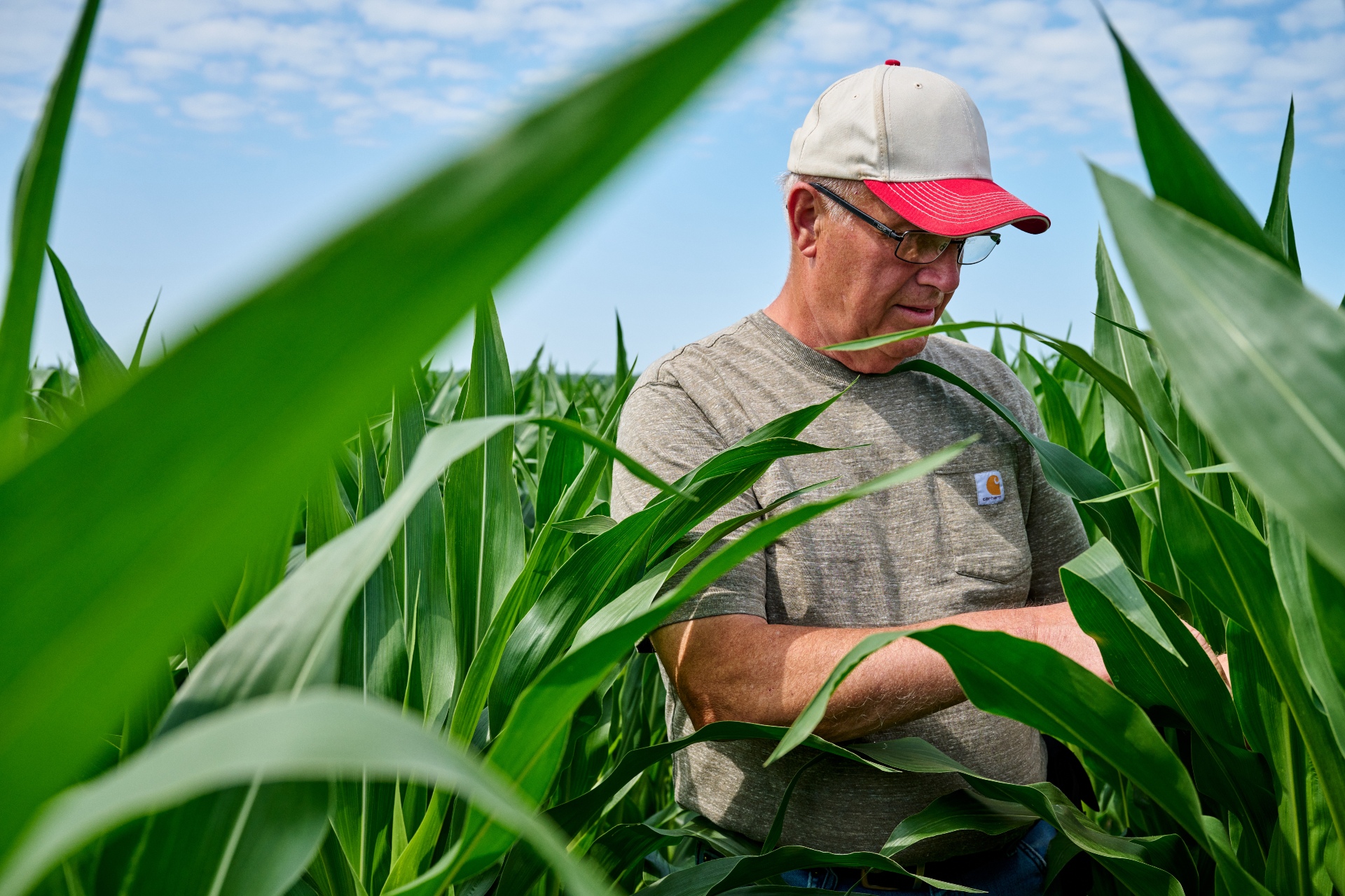 Agriculture